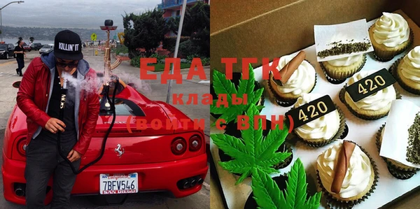 хмурый Тайга