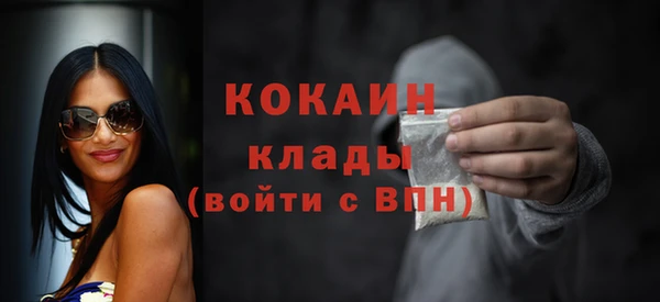 хмурый Тайга