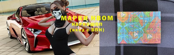 хмурый Тайга