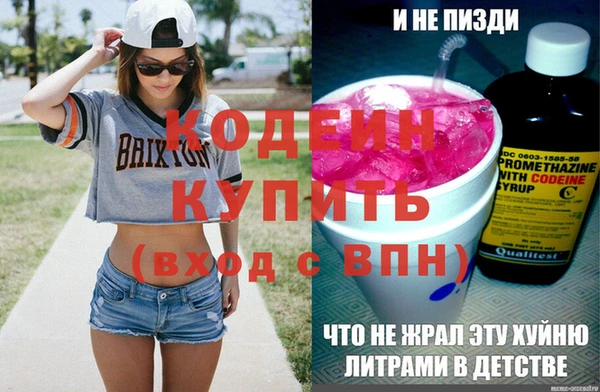 хмурый Тайга
