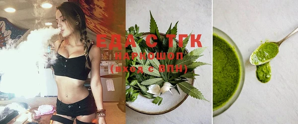 хмурый Тайга