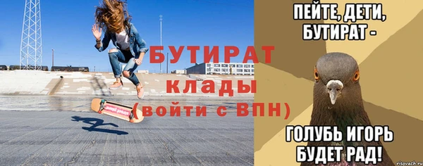 хмурый Тайга