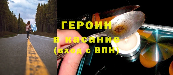 хмурый Тайга