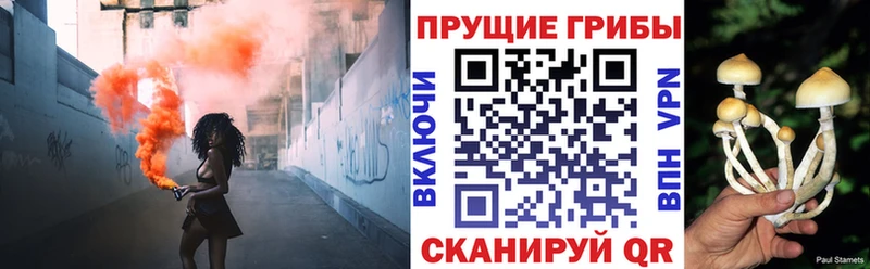 Псилоцибиновые грибы мицелий  Купить  Энем 